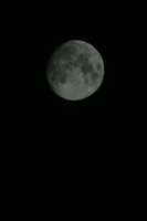 La luna de julio