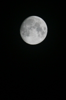 La luna de julio
