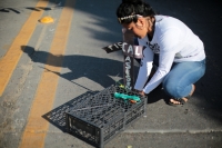 20231117. Tuxtla. Las Madres en Resistencia de Chiapas vuelven a las calles de la ciudad