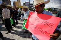 Viernes 19 de noviembre. Productores de maíz de diferentes regiones del estado de Chiapas se manifiestan en la plaza central de la ciudad de Tuxtla Gutiérrez para exigir al gobierno estatal que el apoyo para la producción agrícola sea incentivada para los