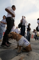 Domingo 9 de mayo. Los jóvenes tuxtlecos se suman a la Marcha en contra de la Violencia repudiando a los grupos que tratan  de aprovecharse de los movimientos sociales.