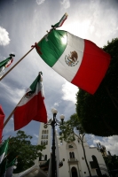 Martes 31 de agosto. La ciudad de Tuxtla continua vistiéndose con los colores patrios al empezar a acercarse las fechas conmemorativas de septiembre.