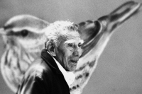 Martes 29 de noviembre. Plumas Vagabundas.