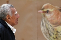 Martes 29 de noviembre. Plumas Vagabundas.