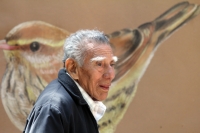 Martes 29 de noviembre. Plumas Vagabundas.