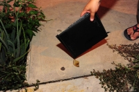 Desconocidos arrojaron una bomba molotov sobre la azotea de la vivienda marcada con el numero 251, de la calle Margarita de Colonia Colina del Sur propiedad de Cecilia Méndez, en el lugar vecinos controlaron las llamas.
