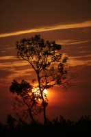 20210415. Tuxtla G. Atardecer desde el Parque Morelos-Bicentenario