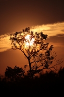 20210415. Tuxtla G. Atardecer desde el Parque Morelos-Bicentenario