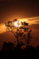 20210415. Tuxtla G. Atardecer desde el Parque Morelos-Bicentenario