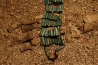 Especial. 45 imágenes. Vestigios arqueológicos encontrados en las ciudades pre-hispánicas de la ciudad de Chiapa de Corzo, las cuales pueden observarse en el Museo de historia y Antropología de Tuxtla.