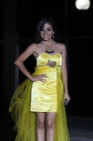 Sábado 31 de mayo del 2014. Tuxtla Gutiérrez. Presentación de las primeras etapas del concurso Miss Earth Chiapas 2014 en el Ágora del Centro cultural Jaime Sabines.