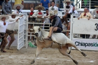 Domingo 23 de octubre del 2016. Tuxtla Gutiérrez. Campeonato Nacional Charro 2016. Con la participación de los equipos de Tuxtla, Villahermosa y Pachuca inicia la jornada dominical dentro del Campeonato Nacional Charro