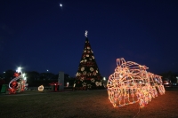Sábado 17 de diciembre del 2016. Tuxtla Gutiérrez. El espíritu navideño se contrasta en la capital del estado de Chiapas