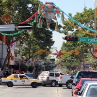 Lunes 5 de diciembre. Arreglos Navideños.