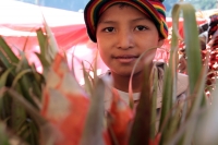 Domingo 17 de diciembre del 2017. Zinacantan. Los jóvenes de la comunidad de Chiapa de Corzo viajan varios kilómetros a pie durante esta semana para recolectar los tubérculos de las flores de Niluyarilo. La Topada de la Flor es conocida como el inicio Domingo 17 de diciembre del 2017. Zinacantan. Los jóvenes de la comunidad de Chiapa de Corzo viajan varios kilómetros a pie durante esta semana para recolectar los tubérculos de las flores de Niluyarilo. La Topada de la Flor es conocida como el inicio