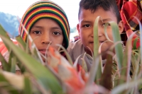 Domingo 17 de diciembre del 2017. Zinacantan. Los jóvenes de la comunidad de Chiapa de Corzo viajan varios kilómetros a pie durante esta semana  para recolectar los tubérculos de las flores de Niluyarilo. La Topada de la Flor es conocida como el inicio