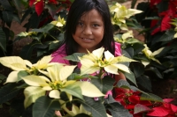 20211125. Berriozabal. Productores de Flor de Noche Buena en la comunidad Vista Hermosa.