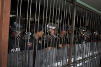 Martes 26 de mayo del 2015. Tuxtla Gutiérrez. Estudiantes normalistas de Chiapas realizan protestas este medio día en la plaza central de esta ciudad.