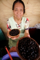 Comidas Tradicionales. La Hormiga arriera tambien se conoce con varios nombres como Chancharra,  Chicatana, Sompopo, Monchona o Tzisin según los grupos indígenas que la consumen. Este insecto es recolectado en los campos después de las primeras lluvias de