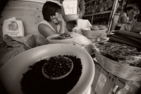 Comidas Tradicionales. La Hormiga arriera tambien se conoce con varios nombres como Chancharra,  Chicatana, Sompopo, Monchona o Tzisin según los grupos indígenas que la consumen. Este insecto es recolectado en los campos después de las primeras lluvias de