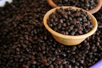 Comidas Tradicionales. La Hormiga arriera tambien se conoce con varios nombres como Chancharra,  Chicatana, Sompopo, Monchona o Tzisin según los grupos indígenas que la consumen. Este insecto es recolectado en los campos después de las primeras lluvias de