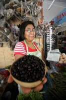 Comidas Tradicionales. La Hormiga arriera tambien se conoce con varios nombres como Chancharra,  Chicatana, Sompopo, Monchona o Tzisin según los grupos indígenas que la consumen. Este insecto es recolectado en los campos después de las primeras lluvias de