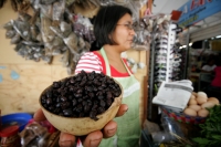 Comidas Tradicionales. La Hormiga arriera tambien se conoce con varios nombres como Chancharra,  Chicatana, Sompopo, Monchona o Tzisin según los grupos indígenas que la consumen. Este insecto es recolectado en los campos después de las primeras lluvias de