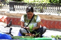 Sábado 13 de abril del 2019. Tuxtla Gutiérrez. Vendedoras indígenas de palma en el atrio de San Marcos