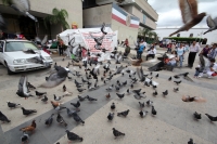 Lunes 25 de noviembre del 2013. Tuxtla Gutiérrez. Poco a poco el primer cuadro de la ciudad regresa a la normalidad, siendo los paisajes provincianos los que sobresalen dentro de las calles de la capital de Chiapas. Lunes 25 de noviembre del 2013. Tuxtla Gutiérrez. Poco a poco el primer cuadro de la ciudad regresa a la normalidad, siendo los paisajes provincianos los que sobresalen dentro de las calles de la capital de Chiapas.