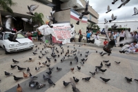 Lunes 25 de noviembre del 2013. Tuxtla Gutiérrez. Poco a poco el primer cuadro de la ciudad regresa a la normalidad, siendo los paisajes provincianos los que sobresalen dentro de las calles de la capital de Chiapas.