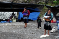 Viernes 23 de noviembre del 2018. Los niños desplazados de Chiapas durante la caravana ««Pies Cansados»» en el tramo carretero entre San Cristóbal de las Casas y Tuxtla Gutiérrrez