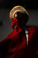 Miércoles 15 de enero del 2014. Chiapa de Corzo. Esta mañana da inicio al tradicional recorrido de Los Parachicos donde estos personajes vestidos con sarapes y mascaras de madera bailan y gritan vivas a los Patronos de esta comunidad de la Ribera del Rio 