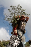 Martes 19 de diciembre del 2017. Zinacatan, Chiapas. Los Floreros continúan con el recorrido de recolección de la Flor de Niluyarilo en las comunidades de la región de Los Altos de Chiapas continuando con el regreso hacia Chiapa de Corzo y Villa de íc