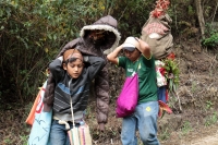 Martes 19 de diciembre del 2017. Zinacatan, Chiapas. Los Floreros continúan con el recorrido de recolección de la Flor de Niluyarilo en las comunidades de la región de Los Altos de Chiapas continuando con el regreso hacia Chiapa de Corzo y Villa de íc Martes 19 de diciembre del 2017. Zinacatan, Chiapas. Los Floreros continúan con el recorrido de recolección de la Flor de Niluyarilo en las comunidades de la región de Los Altos de Chiapas continuando con el regreso hacia Chiapa de Corzo y Villa de íc