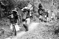 Martes 19 de diciembre del 2017. Zinacatan, Chiapas. Los Floreros continúan con el recorrido de recolección de la Flor de Niluyarilo en las comunidades de la región de Los Altos de Chiapas continuando con el regreso hacia Chiapa de Corzo y Villa de íc