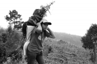 Martes 19 de diciembre del 2017. Zinacatan, Chiapas. Los Floreros continúan con el recorrido de recolección de la Flor de Niluyarilo en las comunidades de la región de Los Altos de Chiapas continuando con el regreso hacia Chiapa de Corzo y Villa de íc Martes 19 de diciembre del 2017. Zinacatan, Chiapas. Los Floreros continúan con el recorrido de recolección de la Flor de Niluyarilo en las comunidades de la región de Los Altos de Chiapas continuando con el regreso hacia Chiapa de Corzo y Villa de íc