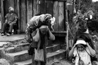 Martes 19 de diciembre del 2017. Zinacatan, Chiapas. Los Floreros continúan con el recorrido de recolección de la Flor de Niluyarilo en las comunidades de la región de Los Altos de Chiapas continuando con el regreso hacia Chiapa de Corzo y Villa de íc