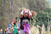 Martes 19 de diciembre del 2017. Zinacatan, Chiapas. Los Floreros continúan con el recorrido de recolección de la Flor de Niluyarilo en las comunidades de la región de Los Altos de Chiapas continuando con el regreso hacia Chiapa de Corzo y Villa de íc