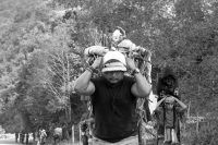 Martes 19 de diciembre del 2017. Zinacatan, Chiapas. Los Floreros continúan con el recorrido de recolección de la Flor de Niluyarilo en las comunidades de la región de Los Altos de Chiapas continuando con el regreso hacia Chiapa de Corzo y Villa de íc Martes 19 de diciembre del 2017. Zinacatan, Chiapas. Los Floreros continúan con el recorrido de recolección de la Flor de Niluyarilo en las comunidades de la región de Los Altos de Chiapas continuando con el regreso hacia Chiapa de Corzo y Villa de íc