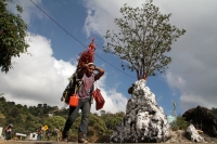 Martes 19 de diciembre del 2017. Zinacatan, Chiapas. Los Floreros continúan con el recorrido de recolección de la Flor de Niluyarilo en las comunidades de la región de Los Altos de Chiapas continuando con el regreso hacia Chiapa de Corzo y Villa de íc