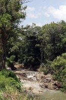 Jueves 7 de octubre. Las paradójicas y contrastantes imágenes de la margen del río Sabinal nos muestran un paisaje a veces urbano o natural según la ubicación donde nos encontremos, pero estas imágenes nos recuerdan que este río se encuentra aún vivo e in