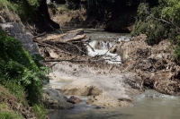 Jueves 7 de octubre. Las paradójicas y contrastantes imágenes de la margen del río Sabinal nos muestran un paisaje a veces urbano o natural según la ubicación donde nos encontremos, pero estas imágenes nos recuerdan que este río se encuentra aún vivo e in