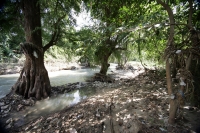 Jueves 7 de octubre. Las paradójicas y contrastantes imágenes de la margen del río Sabinal nos muestran un paisaje a veces urbano o natural según la ubicación donde nos encontremos, pero estas imágenes nos recuerdan que este río se encuentra aún vivo e in