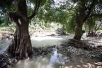Jueves 7 de octubre. Las paradójicas y contrastantes imágenes de la margen del río Sabinal nos muestran un paisaje a veces urbano o natural según la ubicación donde nos encontremos, pero estas imágenes nos recuerdan que este río se encuentra aún vivo e in