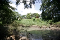 Jueves 7 de octubre. Las paradójicas y contrastantes imágenes de la margen del río Sabinal nos muestran un paisaje a veces urbano o natural según la ubicación donde nos encontremos, pero estas imágenes nos recuerdan que este río se encuentra aún vivo e in