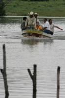 Martes 23 de agosto. Pobladores de las comunidades El Parral y Julián Grajales en la zona del Soconusco del estado de Chiapas transitan por lanchas para transportar los productos comerciales hacia la capital del estado al encontrarse inundado un tramo car
