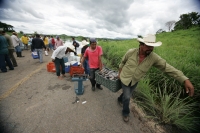 Martes 23 de agosto. Pobladores de las comunidades El Parral y Julián Grajales en la zona del Soconusco del estado de Chiapas transitan por lanchas para transportar los productos comerciales hacia la capital del estado al encontrarse inundado un tramo car