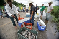 Martes 23 de agosto. Pobladores de las comunidades El Parral y Julián Grajales en la zona del Soconusco del estado de Chiapas transitan por lanchas para transportar los productos comerciales hacia la capital del estado al encontrarse inundado un tramo car