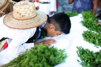 20230514. Tuxtla. Procesos ceremoniales zoques en la ermita ade San Pascualito.