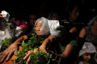 Sábado 17 de mayo del 2014. Tuxtla Gutiérrez. Las familias del tradicional Barrio de San Pascualito celebran al patrono llevando las replicas de las reliquias en una carreta por las calles del centro de la capital del estado de Chiapas. Esta carreta y el 